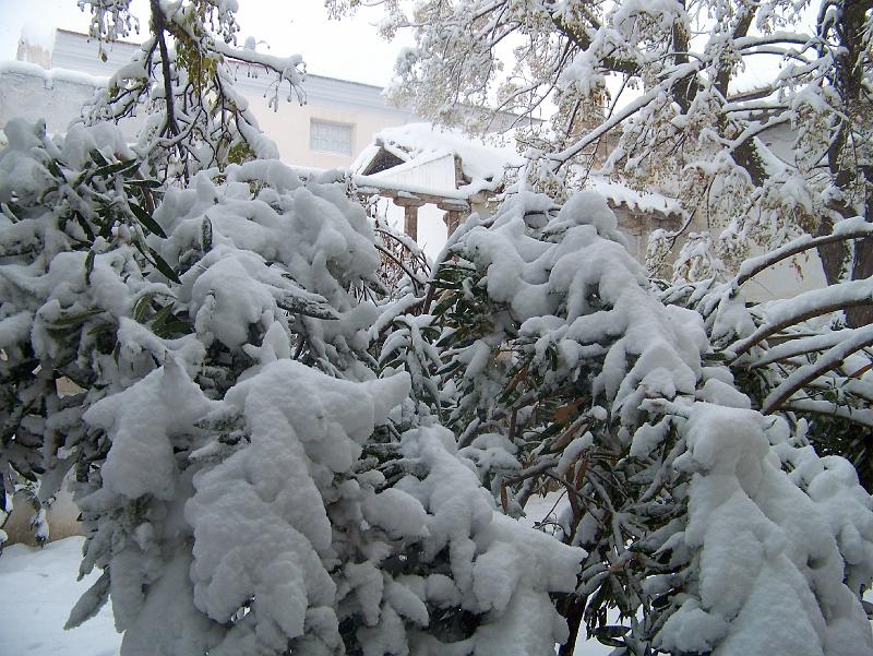 nieve 14 - 12 - 09 121